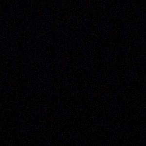 Meet your Posher, Bronson